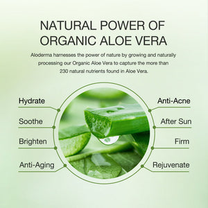 ALODERMA Pure Aloe Vera Gel + Tea Tree Oil